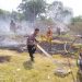 Lahan Kosong Eks-Pujagalana Terbakar, Aktivitas Goa Sunyaragi Aman