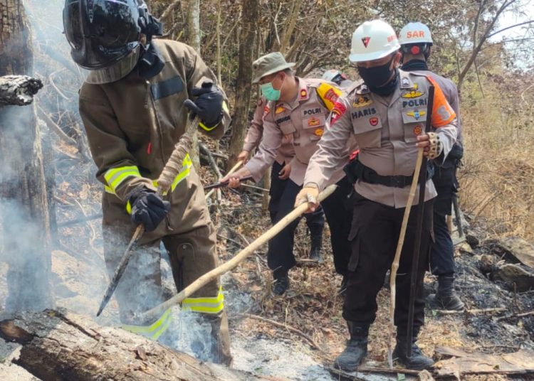 Petugas kepolisian sedang melakukan pemadaman api di sekitar kawasan Taman Nasional Gunung Ciremai (TNGc), Sabtu (26/8/2023).*/doc-Satbrimob Polda Jabar