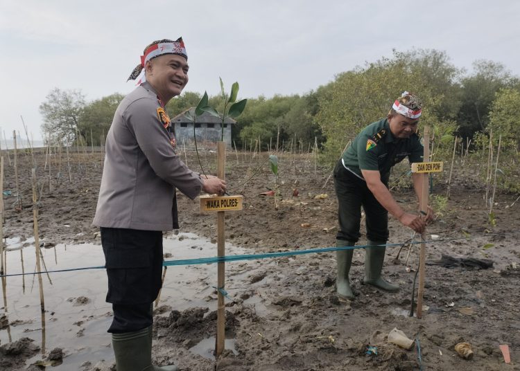 Waka Polres Cirebon Kota, Kompol Ahmat Troy Aprio bersama Pemda Kota Cirebon, unsur Forkopimda, PPN Kejawanan, ormas, dan tokoh masyarakat melakukan penanaman mangrove program penghijauan sejak dini di wilayah Pantai Kejawanan, Rabu (23/8/2023).*/Ryan Haryanto