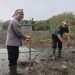 Peduli Penghijauan Sejak Dini, Polres Cirebon Kota Tanam Ribuan Mangrove di Pantai Kejawanan