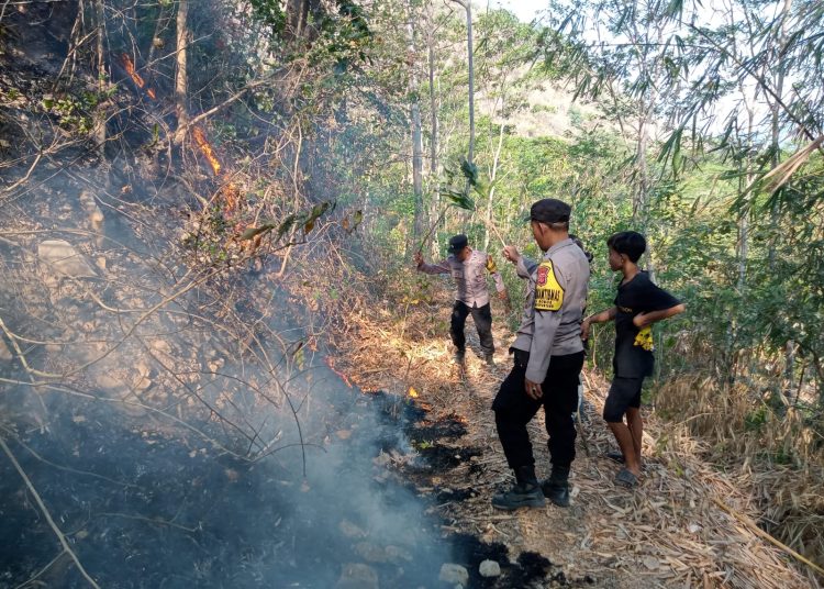 Personel Polresta Cirebon melalui anggota di Polsek Dukupuntang dan elemen lainnya saat membantu memadamkan karhutla yang masuk wilayah Kabupaten Majalengka, Kamis (28/9/2023). (Foto- Humas Polresta Cirebon)
