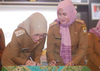 Diseminasi Stunting di Kabupaten Cirebon, Target di 2024 Bisa Tekan Jadi 11 Persen