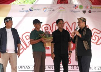 Kembangkan Pasar Komoditas Pertanian Melalui Cirebon Agro Expo, Bupati Diberi Petani Mangga Super ‘Roman Ayu’