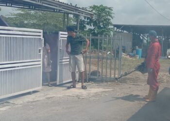 Kasus DBD di Kabupaten Cirebon Alami Penurunan, Dinkes Tetap Waspada dan Gencar Sosialisasi