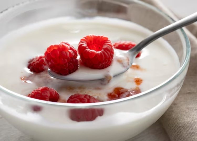 Kandungan probiotik dalam yogurt membantu menjaga keseimbangan bakteri baik di usus. Foto:Freepik