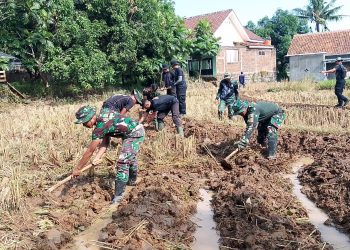 Tingkatkan Ketahanan Pangan di Desa Kubang, Satgas TMMD Bantu Petani Kelola Sawah