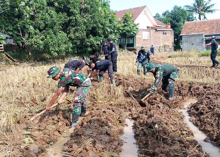 Sejumlah personel dalam Satgas TMMD ke-121 Kodim 0620/Kabupaten Cirebon saat membatu garapan lahan sawah di Desa Kubang, Kecamatan Talun, Kabupaten Cirebon, Senin (5/8/2024).