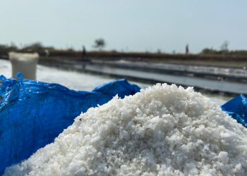 Petambak Garam di Cirebon Hadapi Krisis Harga di Tengah Panen Raya