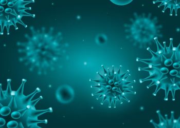 Kamu Wajib Tahu! Monkeypox Menular Lewat Hal Ini