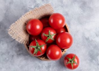 Mitos Atau Fakta? Sering Makan Tomat Bisa Sebabkan Usus Buntu
