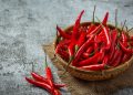 Tak Disangka, Ini Manfaat Mengonsumsi Cabai Bagi Kesehatan