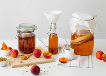 Fakta Menarik: Ternyata SCOBY atau ‘Jamur’ Kombucha Bisa Dimakan