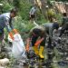 Pemkab Cirebon dan Komunitas Bergandeng Tangan dalam Aksi Bersih Sungai
