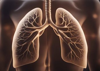 5 Rahasia Bahan Alami yang Bikin Paru-Paru Sehat dan Terlindungi dari Polusi!