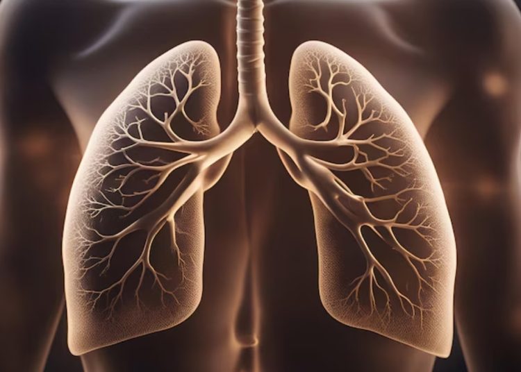 Ilustrasi paru-paru. Foto: Freepik