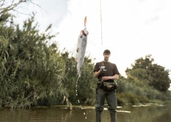 5 Tips Jitu Memancing bagi Pemula: Langsung Dapat Ikan di Percobaan Pertama