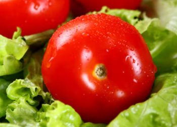 5 Manfaat Konsumsi Tomat bagi Kesehatan yang Wajib Kamu Tahu