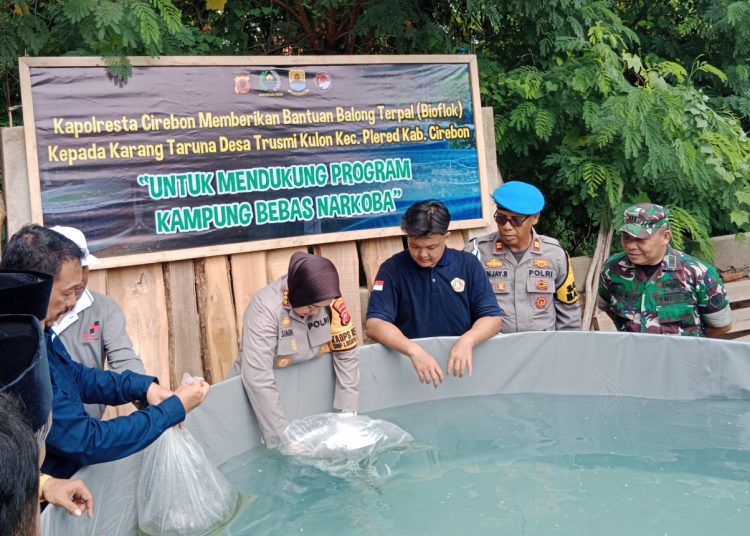 Kapolresta Cirebon, Kombes Sumarni, didampingi Forkopimda saat menebar bantuan benih ikan nilai di kolam buatan Desa Trusmi Kulon, Kecamatan Plered, Jumat (22/11/2024). /* (foto: M. Rahmat)