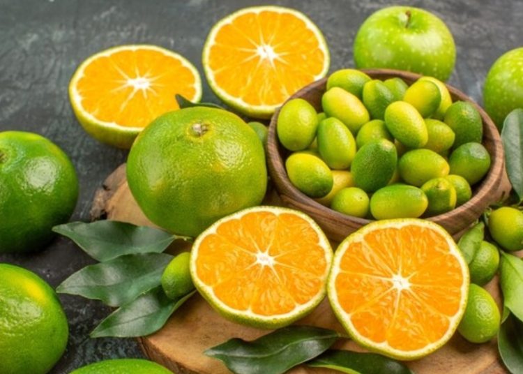 Ilustrasi citrus. Foto: Freepik