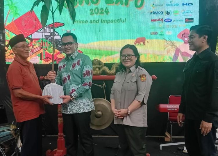 Pj Bupati Cirebon, Wahyu Mijaya, saat peluncurkan varitas mangga unggulan Roman Ayu, dalam kegiatan Cirebon Agro Expo 2024, di Kantor Dinas Pertanian Kabupaten Cirebon pada Kamis (19/12/2024)./* (foto: Prokompim)