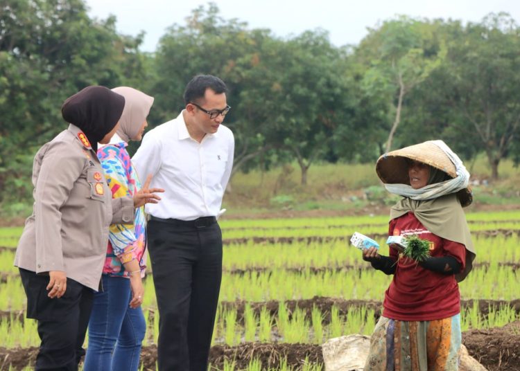 Kapolresta Cirebon Kombes Sumarni, bersama Pj Bupati Cirebon Wahyu Mijaya, dan Ketua DPRD Kabupaten Cirebon Sophi Zulfia mengunjungi para ibu petani di Desa Sedong Kidul, Kecamatan Sedong, Kabupaten Cirebon, Senin (23/12/2024)./* (foto: Humas Polresta Cirebon)