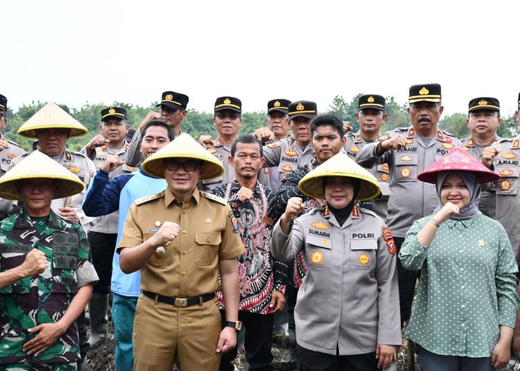 Bupati Cirebon, Wahyu Mijaya bersama Kapolresta Kombes Sumarni, dan jajaran saat merealisasikan program Swasembada Pangan Nasional melalui penanaman jagung serentak di Dusun Karoya, Desa Tanjung Anom, Kecamatan Pasaleman, Selasa (21/1/2025). /* (foto: Prokompim) 