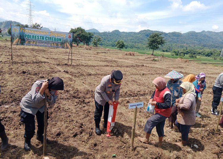 Kapolresta Cirebon, Kombes Sumarni, saat memimpin penanaman jagung pada lahan tidur seluas 1 hektare di desa Cilukrak, Kecamatan Palimanan, Jumat (24/1/2025). /* (foto: M. Rahmat) 