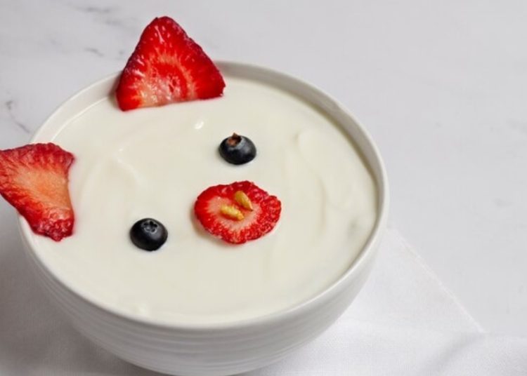 Ilustrasi yogurt. Foto: Freepik