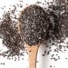 Chia Seed: Rahasia Kecil dengan Manfaat Besar untuk Tubuhmu