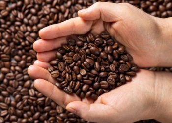 Eksperimen Kecantikan: Benarkah Masker Kopi Bikin Wajah Cerah?