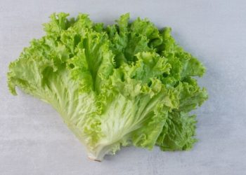 Mitos dan Fakta Seputar Konsumsi Sayuran Mentah yang Perlu Kamu Tahu