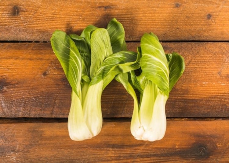 Ilustrasi pak choi. Foto: Freepik