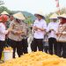 Lahan 1,5 Hektare di Cirebon Hasilkan 9 Ton Jagung, Kapolresta: Ini Motivasi Dukung Program Asta Cita