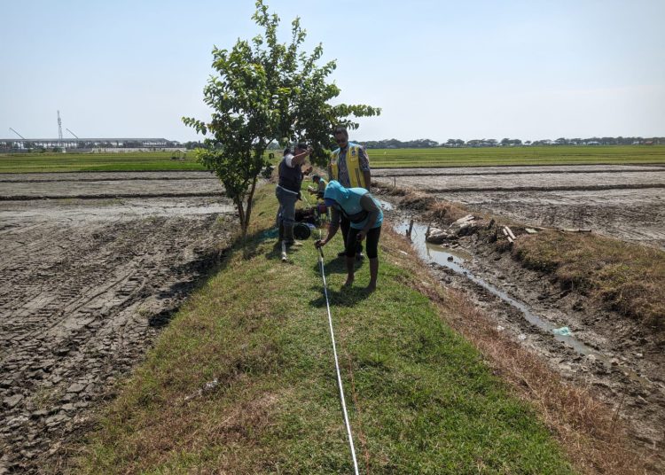 Warga Gebang Ilir, Kecamatan Gebang, Kabupaten Cirebon,  saat menunjukan hamparan sawah kekeringan yang disebabkan longsornya irigasi di kawasan tersebut, Rabu (30/4/2025)./* (foto: M. Rahmat) 