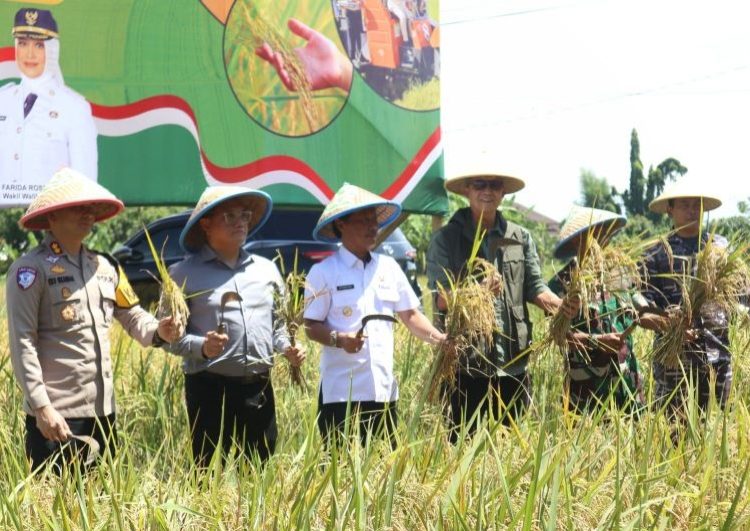 Wali Kota Cirebon Effendi Edo bersama Unsur Forkopimda melaksanakan Panen Raya Serempak, Senin (7/4/2025).*