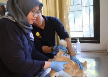 Kabupaten Cirebon Jaga Status Bebas Rabies Lewat Vaksinasi Massal