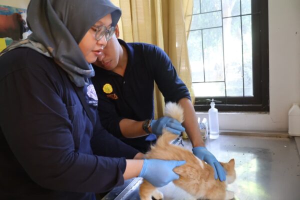 Distan Kabupaten Cirebon menggelar vaksinasi hewan peliharaan gratis di tiga wilayah kerjanya, Senin (13/10/2025)./* (foto: Diskominfo Kab. Cirebon) 