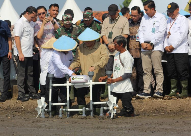 BP TASKIN meluncurkan program “Tanam Sekali, Panen Empat Kali” di Kabupaten Cirebon di Kelurahan Pasalakan, Kecamatan Sumber, Sabtu (11/10/2025)./* (foto: M. Rahmat)