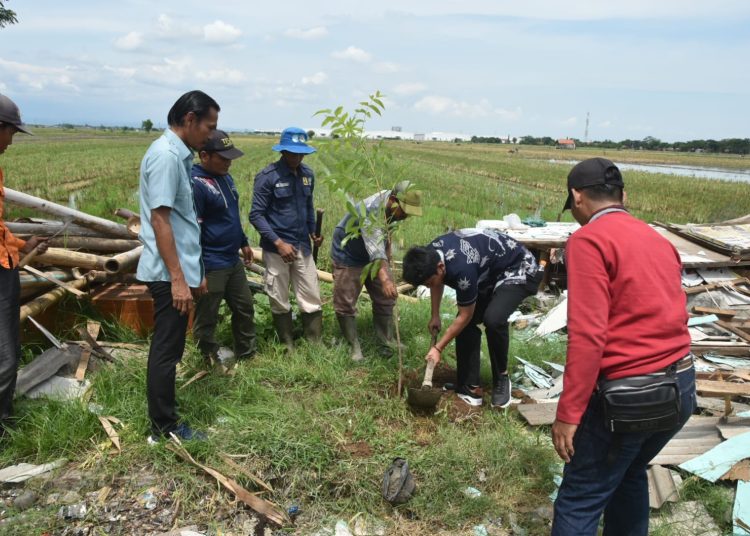 Wakil Bupati Cirebon, Agus Kurniawan Budiman, melakukan penanaman pohon di sepanjang ruas Playangan–Bojong Negara,Desa Playangan, Kecamatan Gebang, Selasa (4/11/2025)./* (foto: Prokompim Kab. Cirebon) 