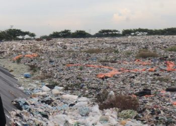 DLH Butuh 500 Kontainer dan 200 Armada untuk Atasi Sampah